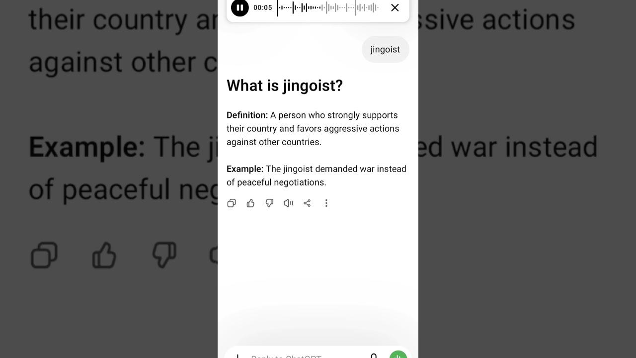 What is jingoist?