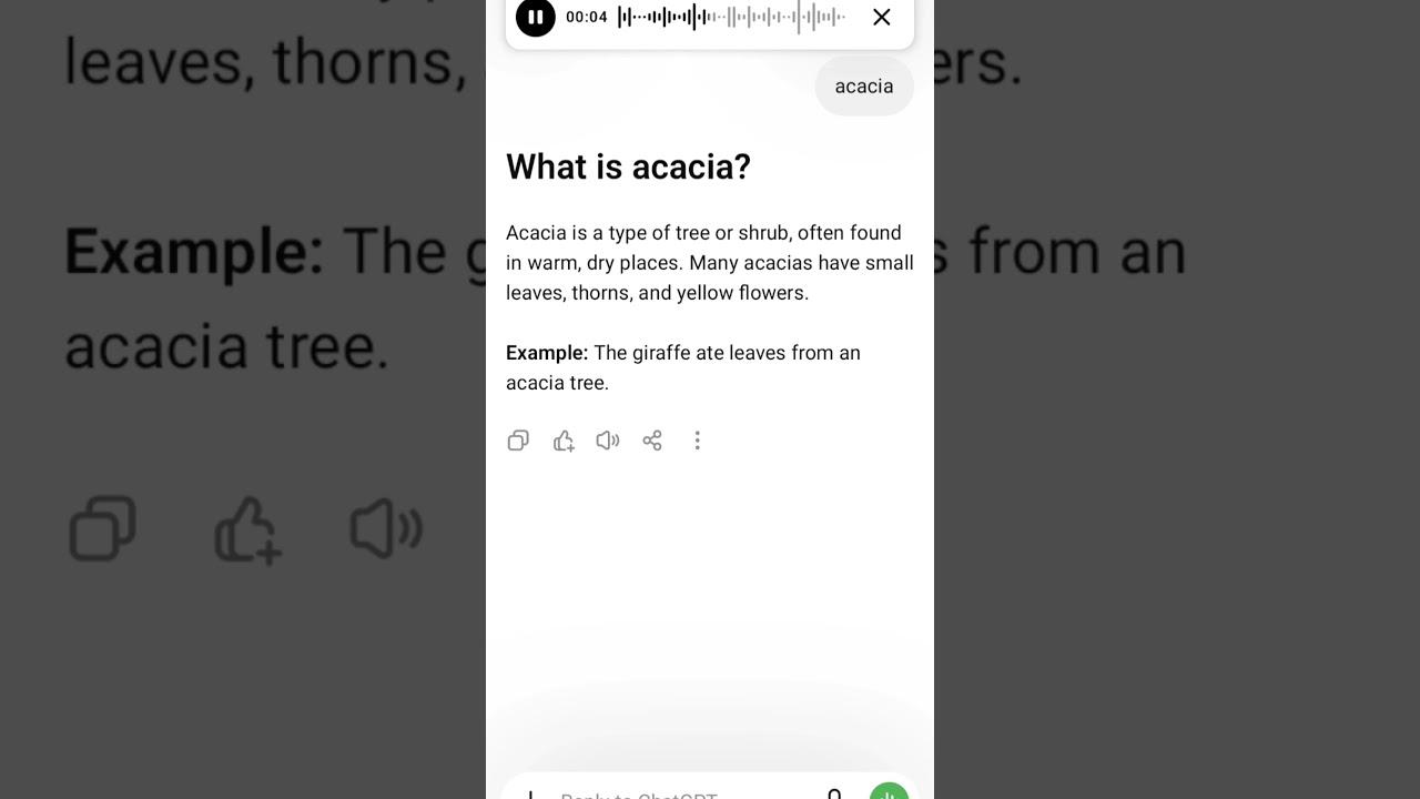 What is acacia?