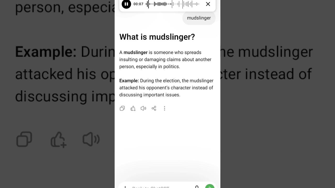 What is mudslinger?