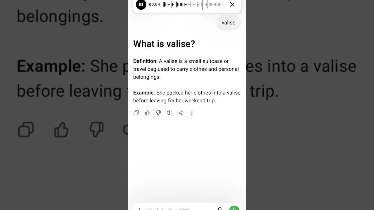 What is valise?