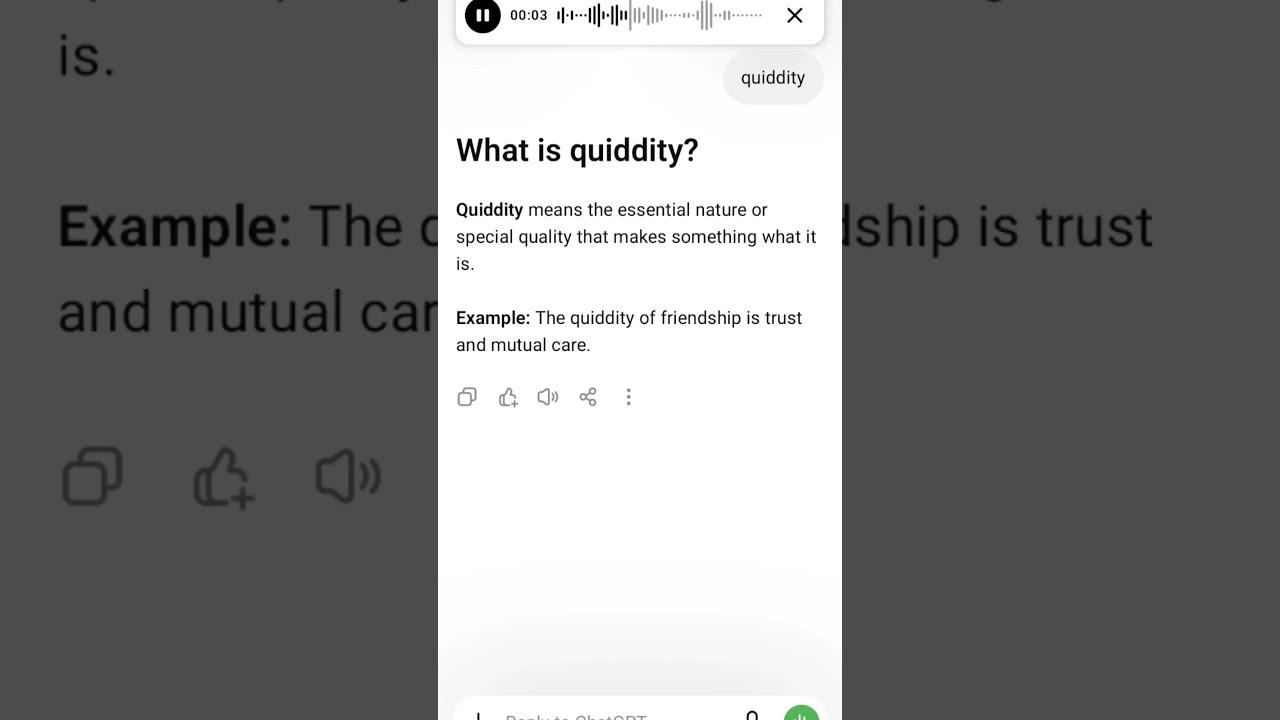 quiddity meaning