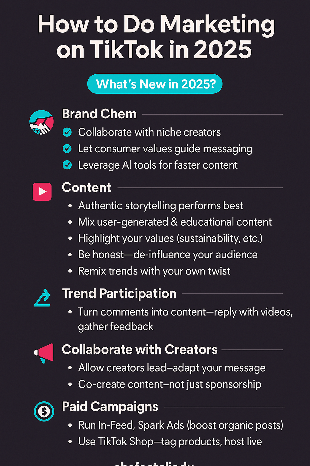 Infographic outlining TikTok marketing strategies for 2025, including content tips, creator collaboration, trends, and paid campaigns.